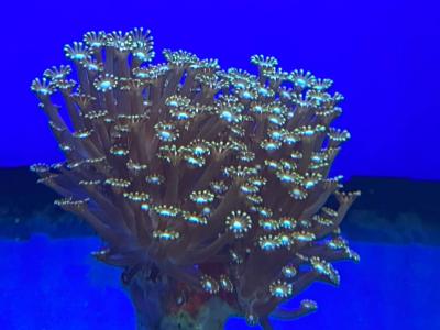 IMG_5872.JPG