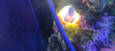 2025-07-06 12-54-20.JPG