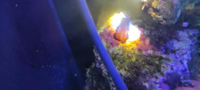 2025-07-06 12-54-21.JPG