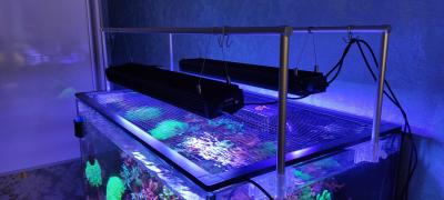 2025-07-07 13-53-01.JPG