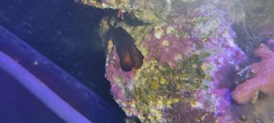 2025-07-06 12-53-00.JPG