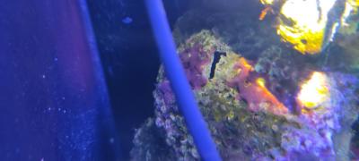 2025-07-06 12-54-35.JPG