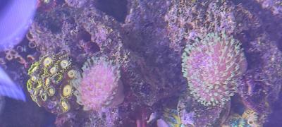IMG_20250714_125713.jpg