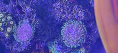 IMG_20250714_125658.jpg