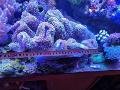 IMG_20250724_130121.jpg
