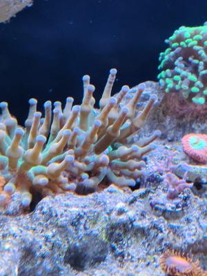 WhatsApp Image 2025-07-19 at 10.51.16.jpeg