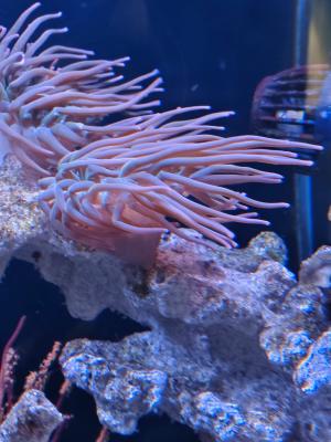 WhatsApp Image 2025-07-19 at 10.46.36.jpeg