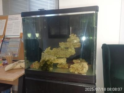 IMG_20250718_080805.jpg
