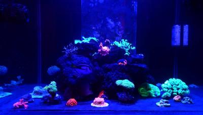 IMG-20250716-WA0000~2.jpg