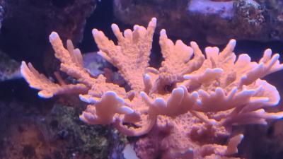 IMG_20260712_114944.jpg