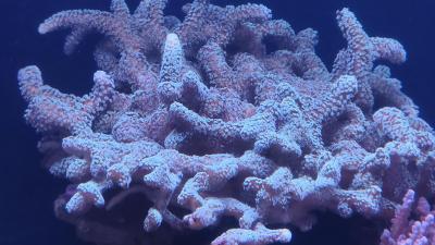 IMG_20260712_114937.jpg