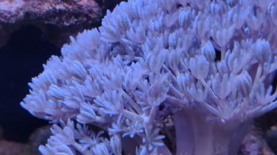 IMG_20260712_114952.jpg