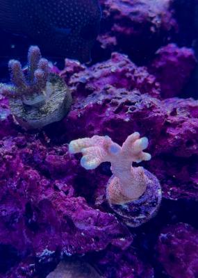 IMG_2936.jpeg