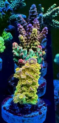 IMG_3127.jpeg