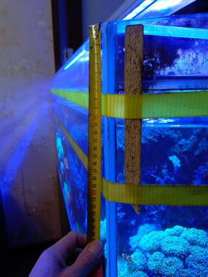 IMG_20260610_085126_746.jpg