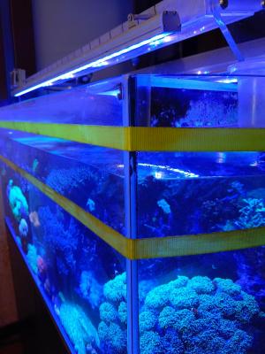 IMG_20260610_082741_425.jpg