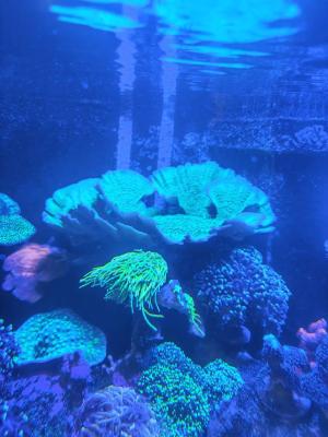 IMG_20260704_195326.jpg