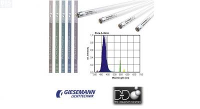 giesemann-pure-actinic-a.jpg
