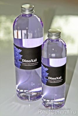 DinoXal-QFI-dinoflagellate.jpg