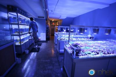 diy-aquarium-led-light.jpg