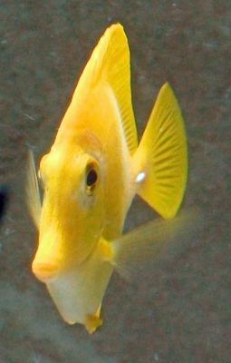 DSC00201.jpg