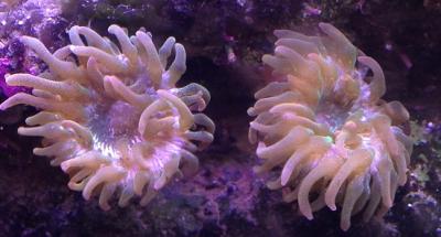 IMG_2861.JPG