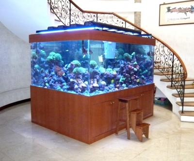 8ft-x-8ft-x-4ft-Acrylic-Marine-Reef-Tank.jpg