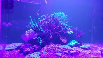 20150829_214511.jpg