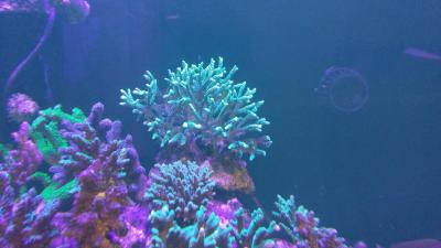20150829_213827.jpg