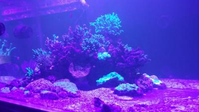 20150829_214516.jpg