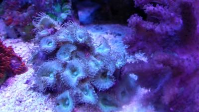 20150807_191739.jpg