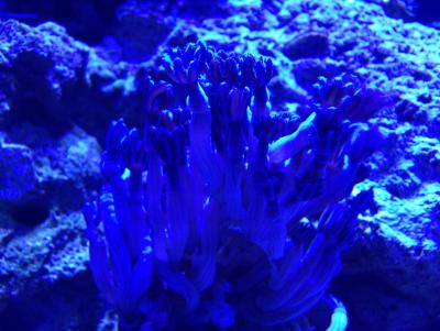 IMG_1123.JPG
