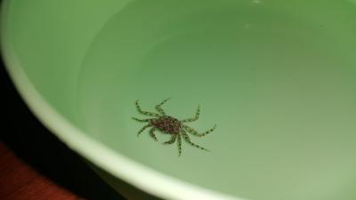 20160812_221924.jpg