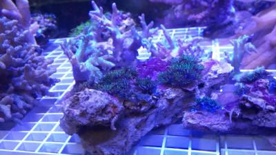 20160811_183810.jpg