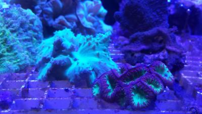 20160811_183901.jpg