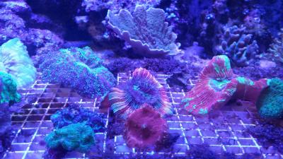 20160811_183910.jpg