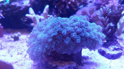 20160811_183852.jpg