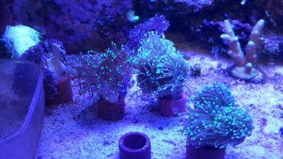 20160811_183844.jpg