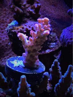 IMG_8049.JPG