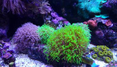 IMAG0293~2.jpg