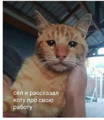 b9dbec59-2df8-4a77-9c0f-f65159e1c6ad.jpg