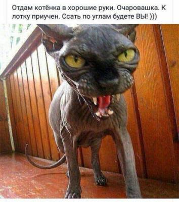 original (3).jpg