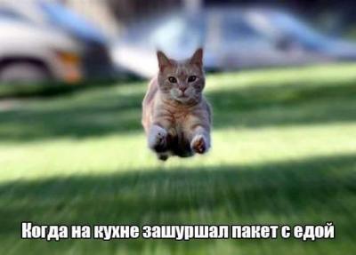 FB_IMG_1534671239848.jpg