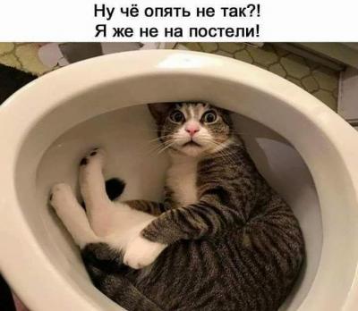FB_IMG_1534671428511.jpg