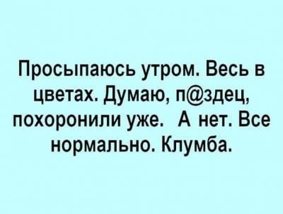 FB_IMG_1533133621279.jpg