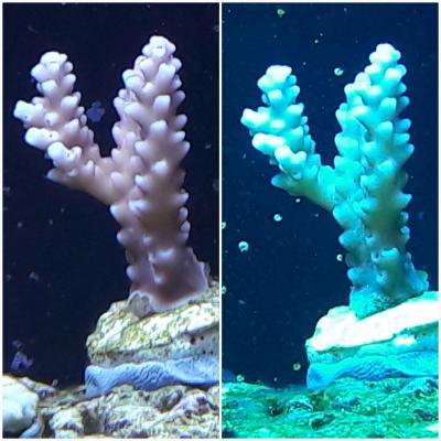 20180829_163711.jpg
