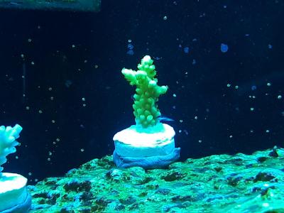 20180820_195951.jpg