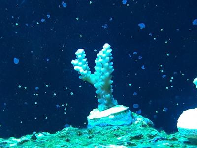 20180820_195944.jpg