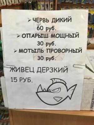 IMG_20190829_211910.jpg