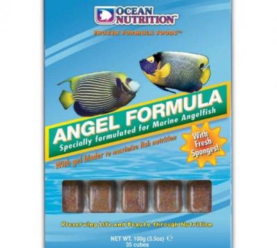 AngelFormula1X555X498X.jpg